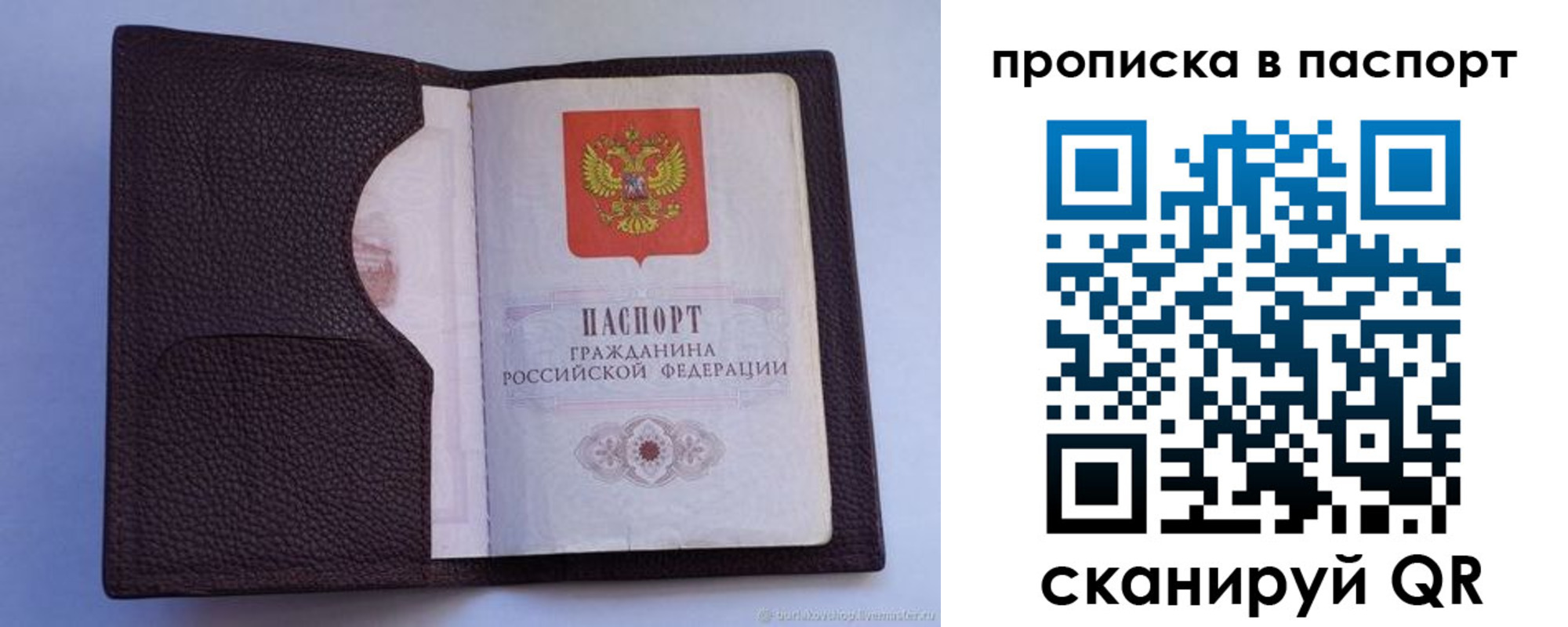 прописка законно в Красном Куте